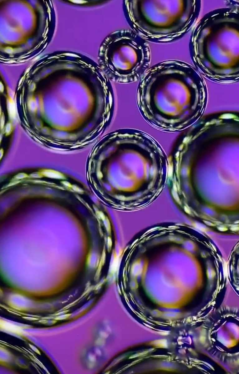 Macro 58 by Robin Moore, Image 3.