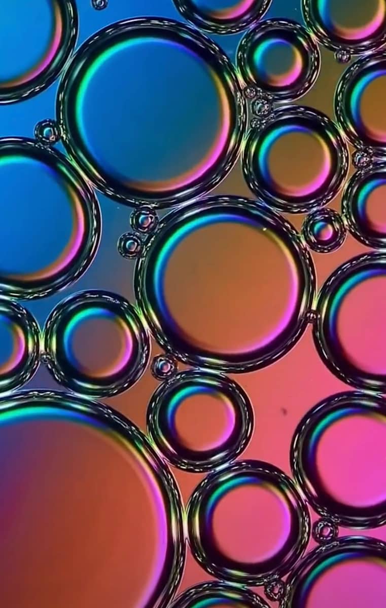 Macro 55 by Robin Moore 