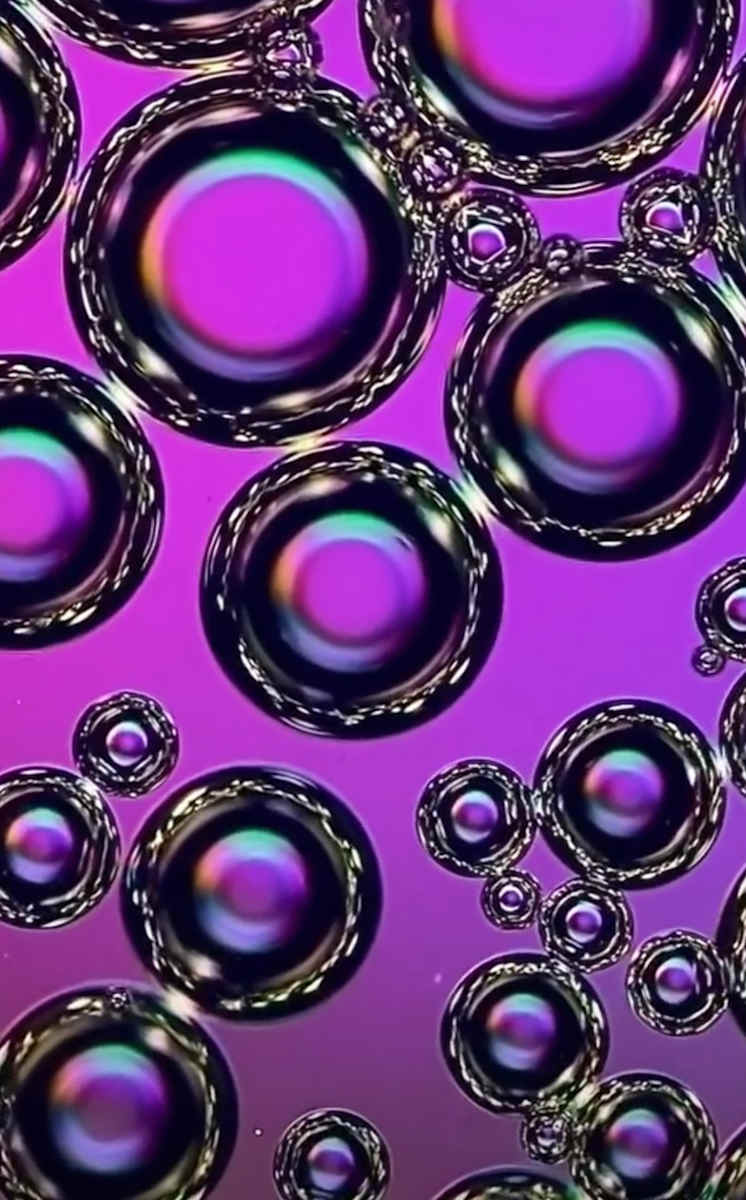 Macro 54 by Robin Moore, Image 7.