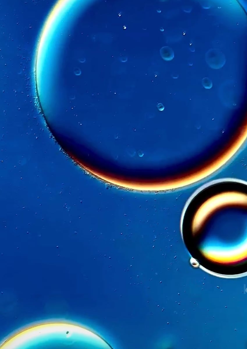 Macro 77 by Robin Moore 