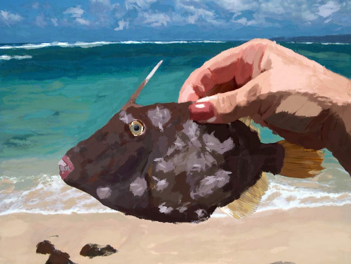 Unicorn Fish by Robin Moore 