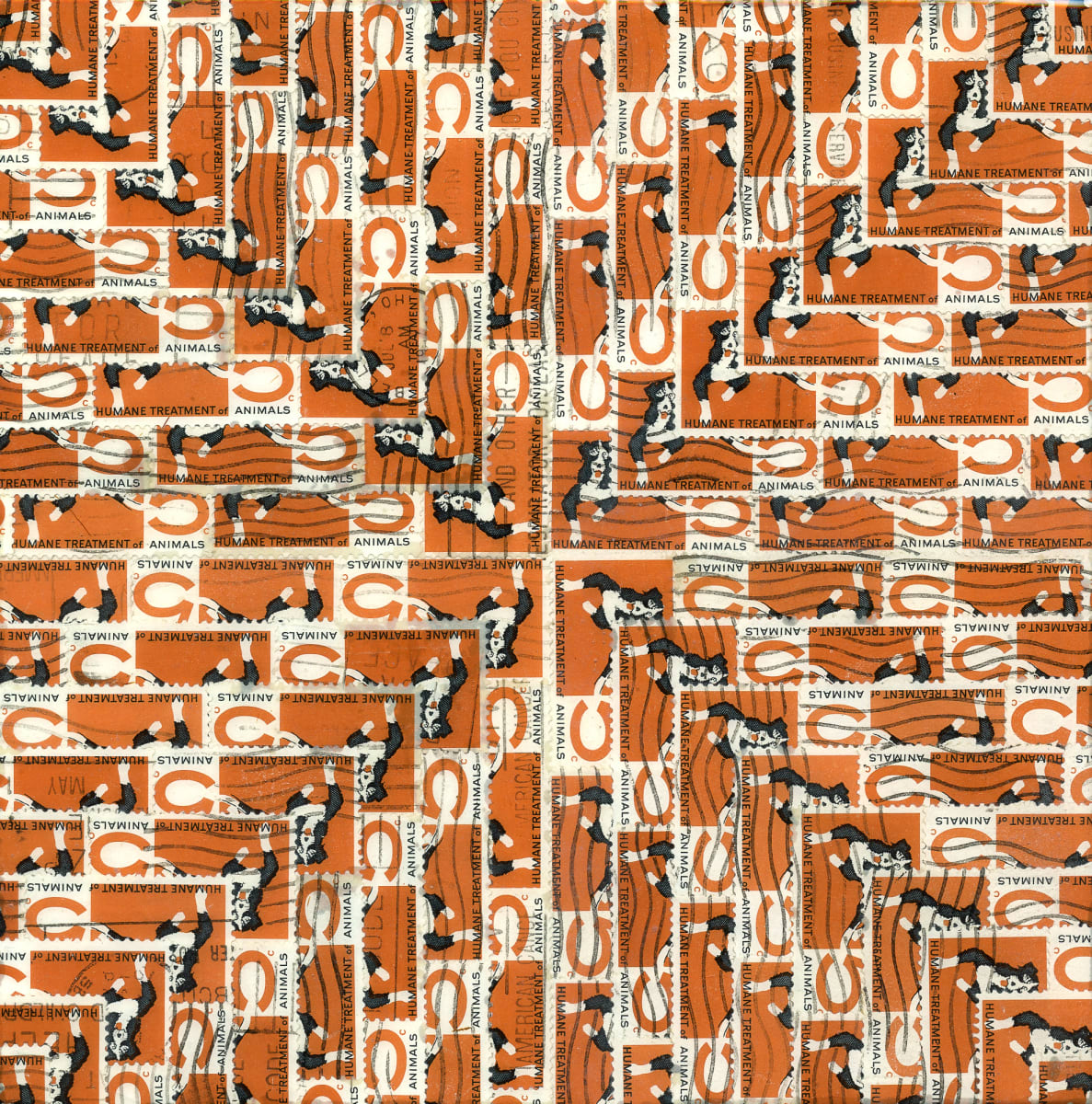 Dogs by Jordan Scott 