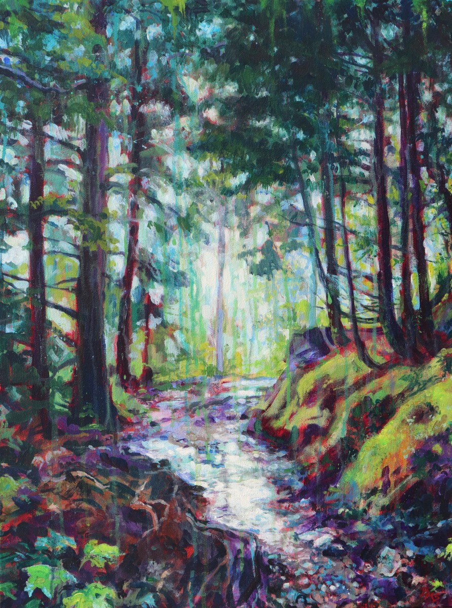 Rain on the Trail, Tongass National Forest, Alaska by Brenda M. Sylvia 