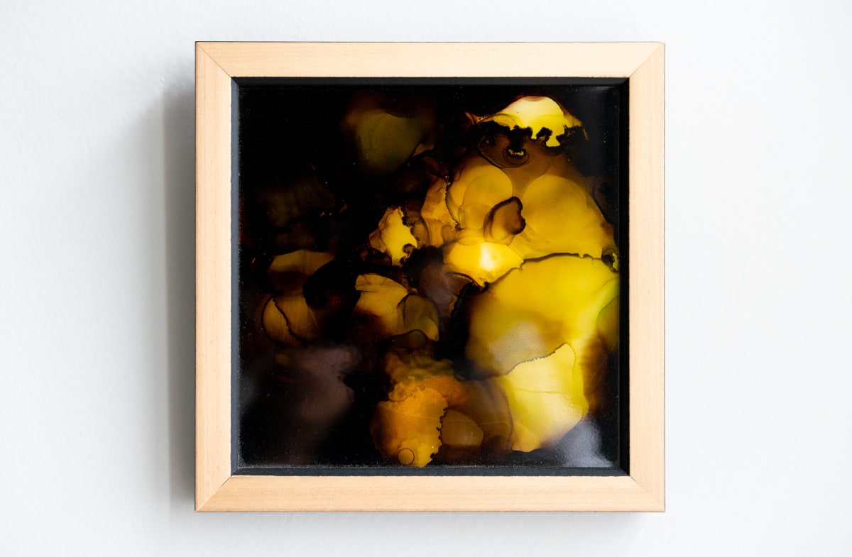 Untitled, Image 1.