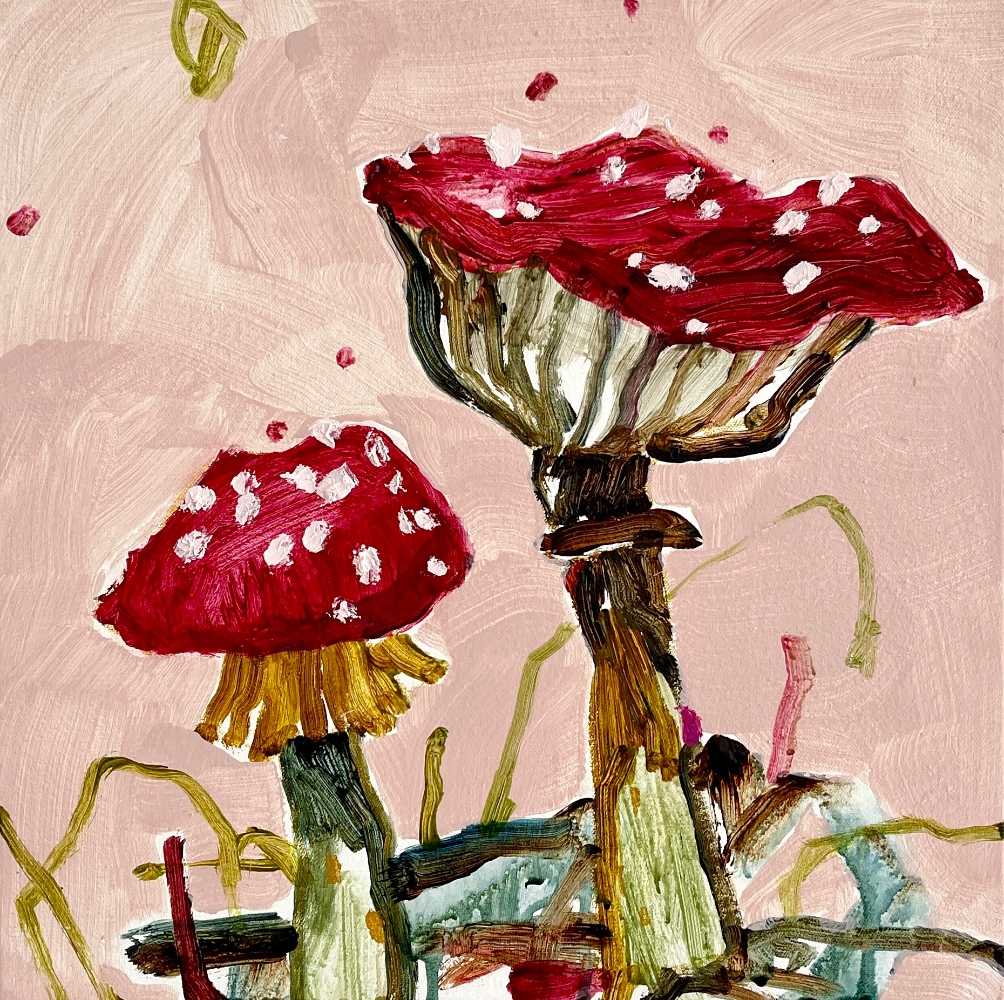 A Toadstool Tea Party by Kate Owen 