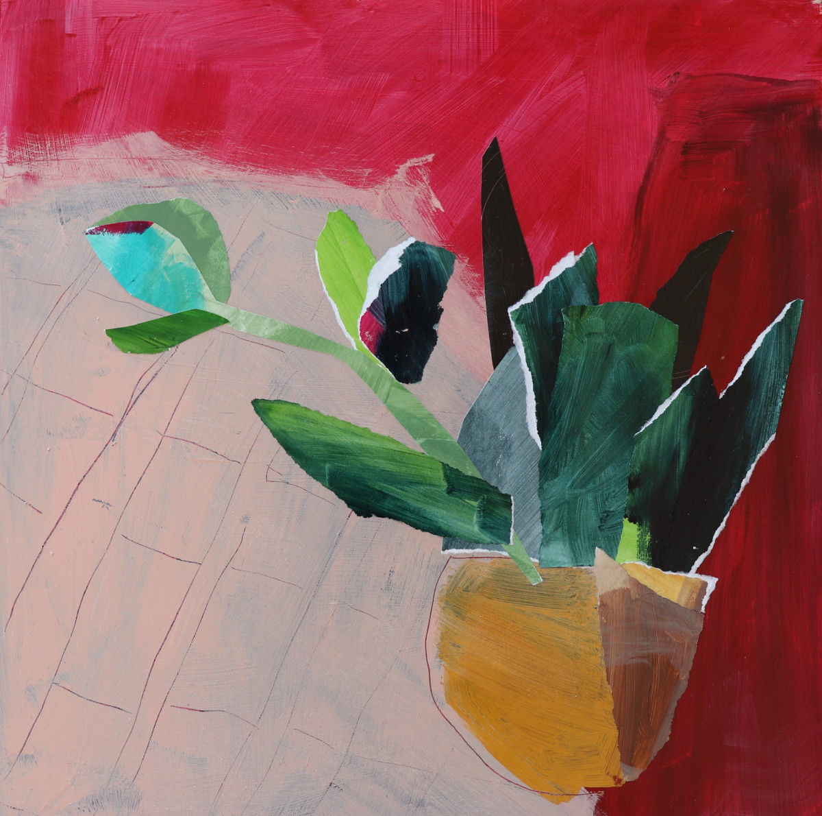 House Plant by Kate Owen 