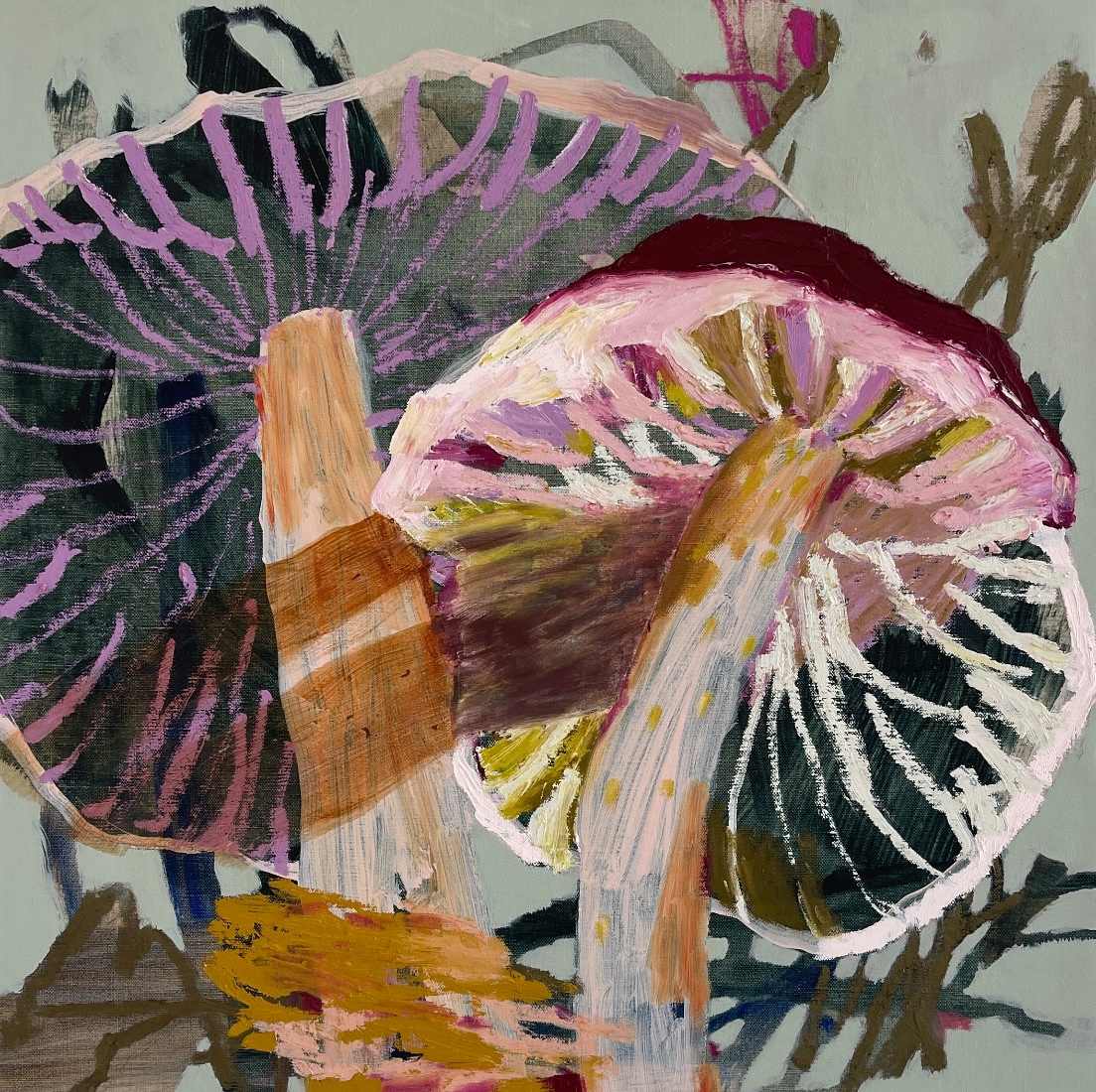 Pinkgills Genus Entoloma by Kate Owen, Image 1.