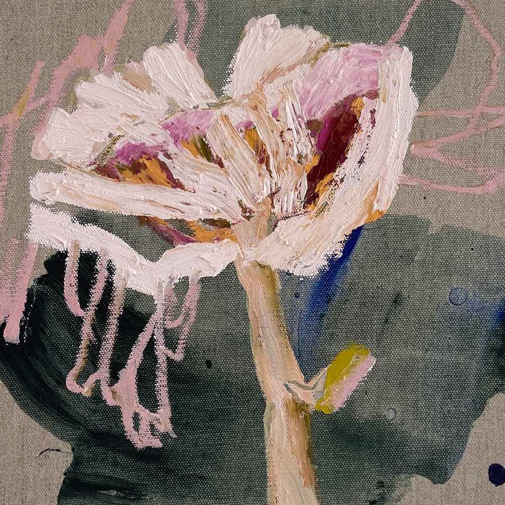 Tawny Funnel Lepista Flaccida by Kate Owen, Image 1.