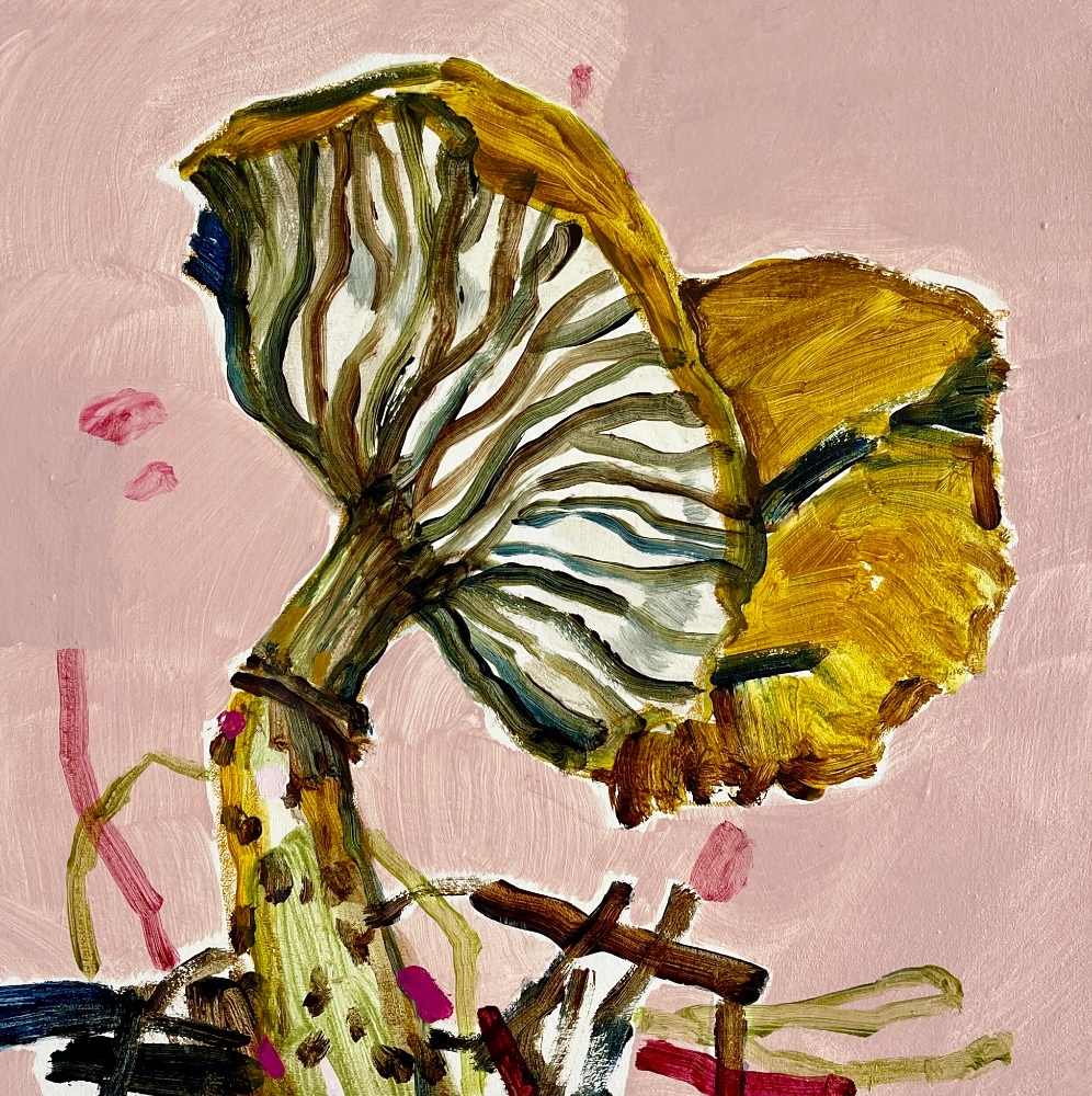 The Curious Case of the Crooked Spore by Kate Owen, Image 1.