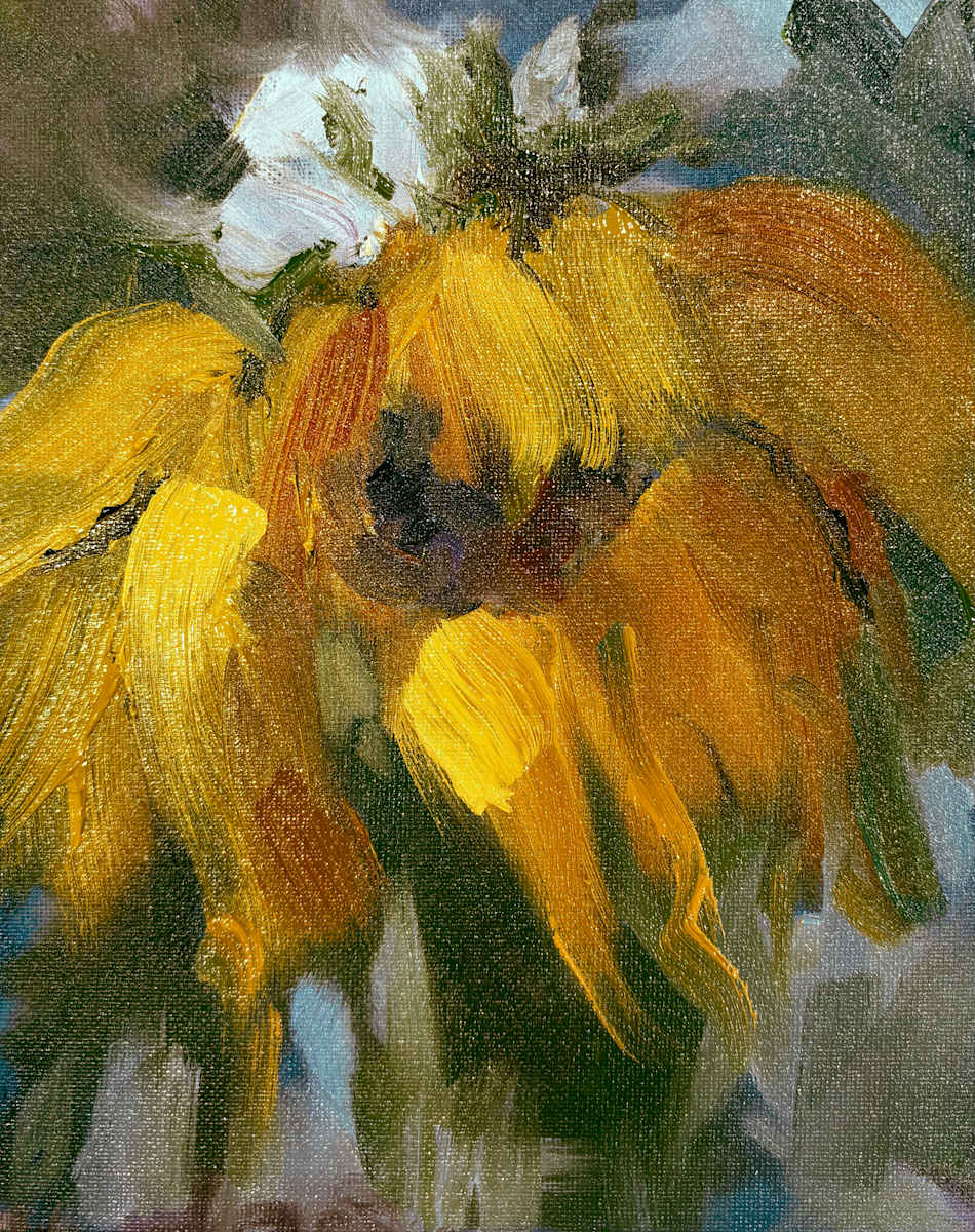 Floral Radiance by karen pedersen 