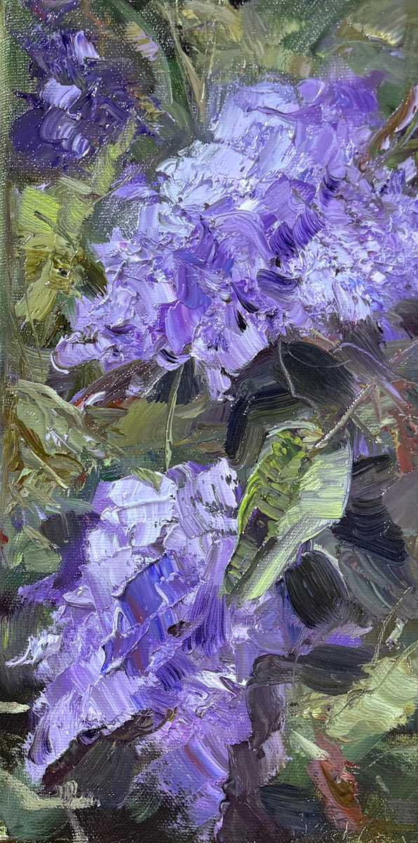 Backyard Lilacs by karen pedersen 