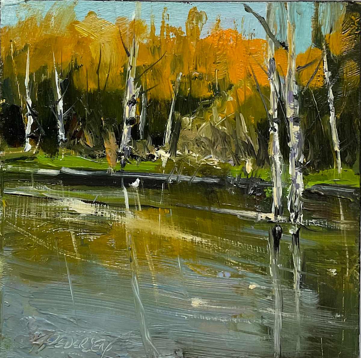 Birch on the rivers Edge by karen pedersen 