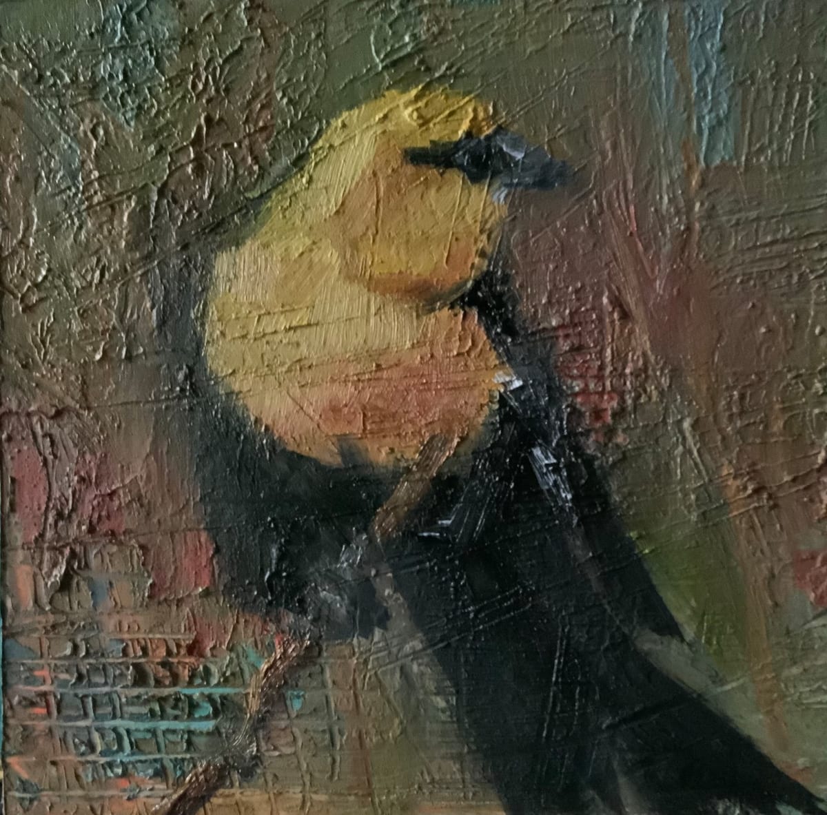 Yellow headed Blackbird II by karen pedersen 