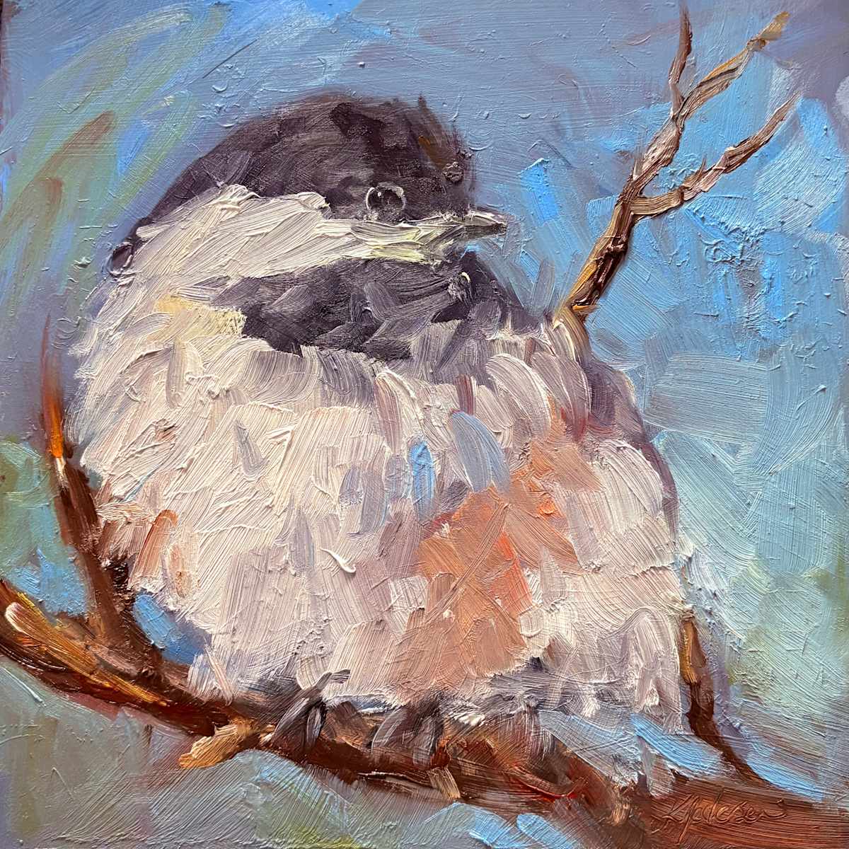Chickadee. Back Yard Visitor by karen pedersen, Image 1.