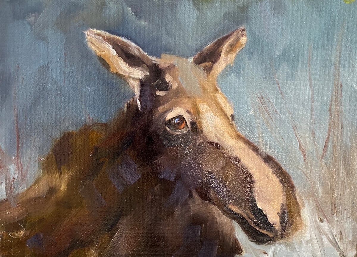Moose by karen pedersen 