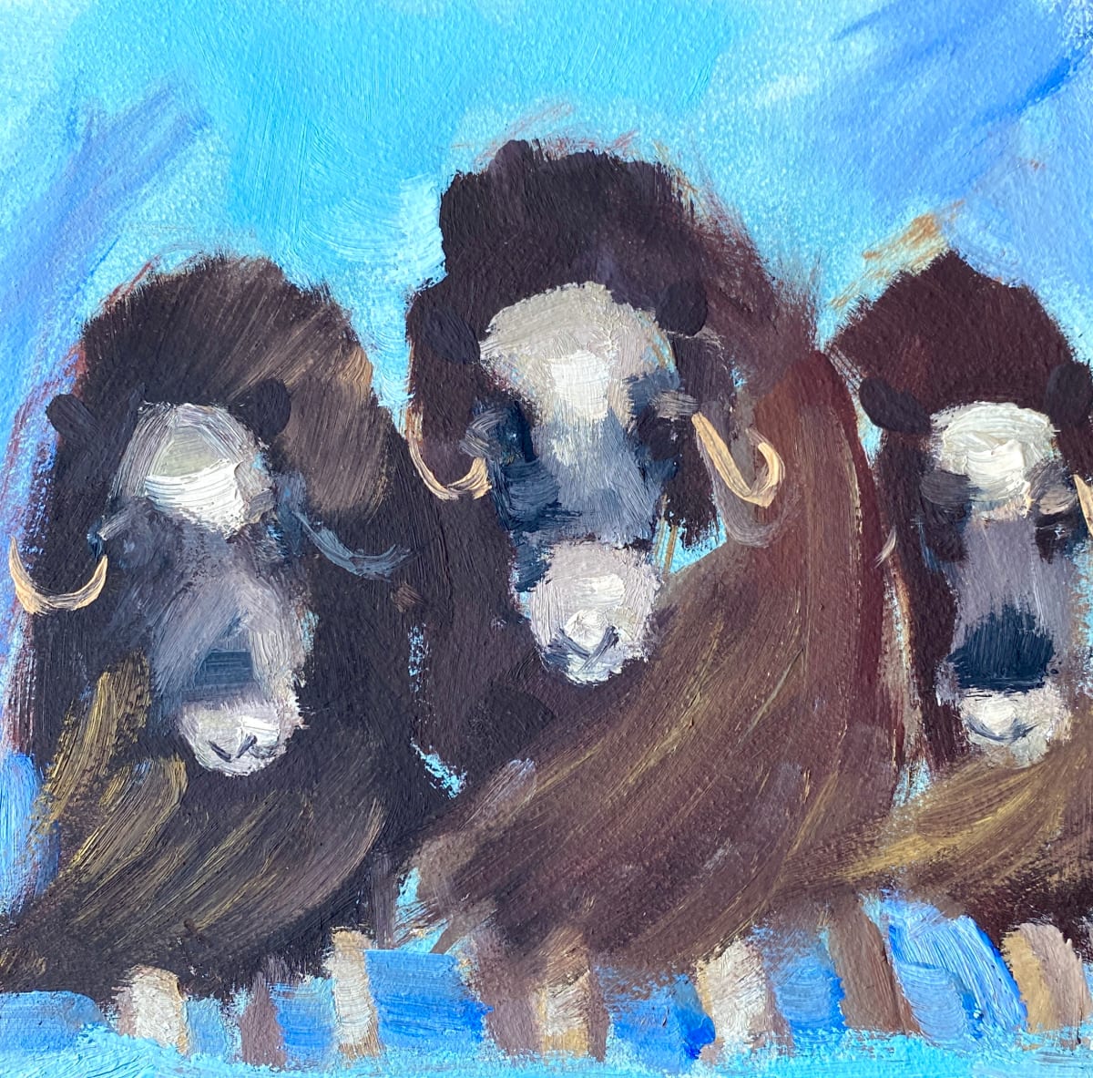 Muskox by karen pedersen 