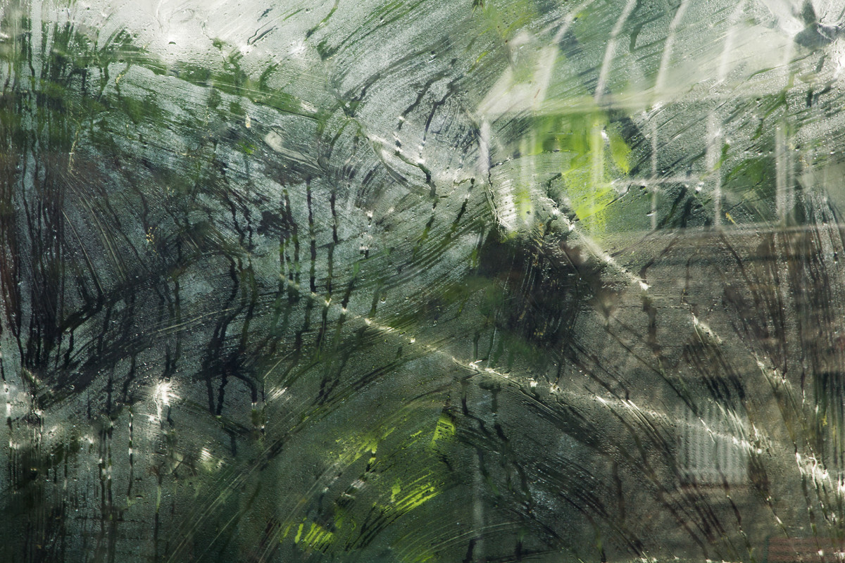 Disrupted View by Crystal Tursich 