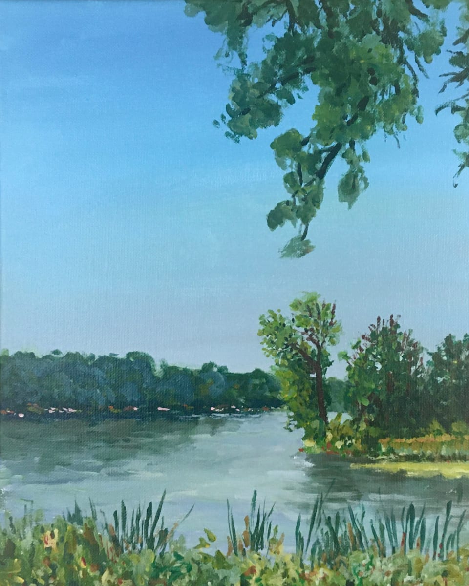 Summer Morning at Bald Eagle Lake by Daniel Hendricksen 