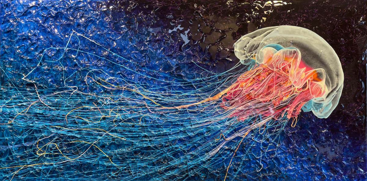 Jellyfish Rising by Jennifer Brewer Stone 