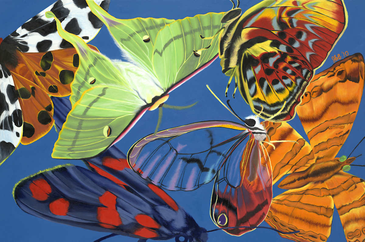 Flutter - Art in Embassies Invitational (2016) by Jennifer Brewer Stone, Image 1.