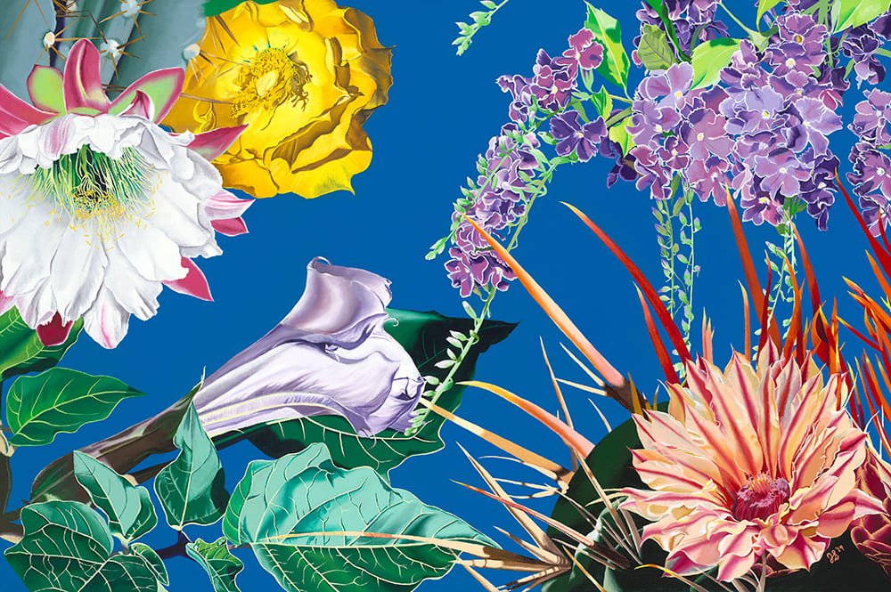 Sonoran Symphony by Jennifer Brewer Stone 