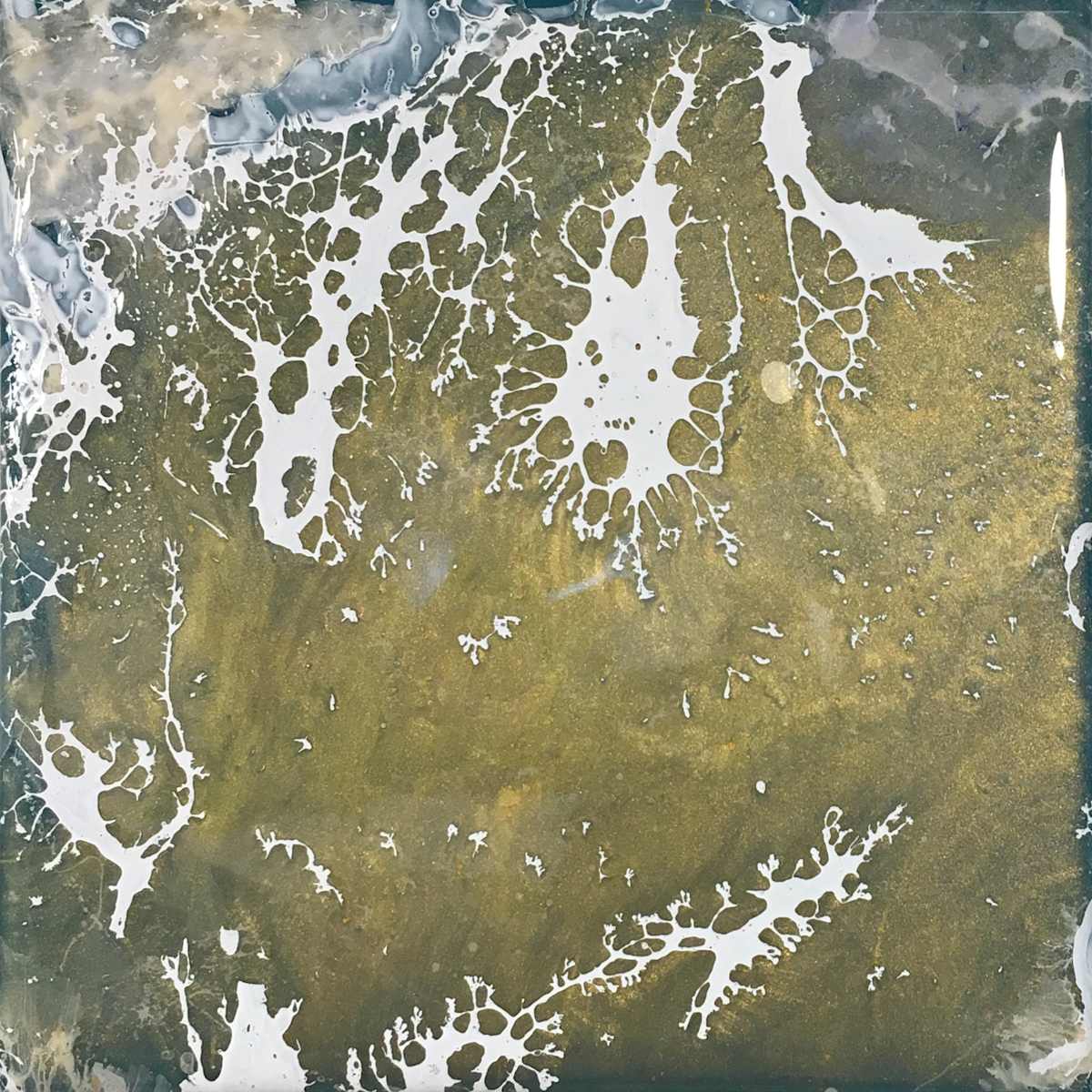 White Amoebas by Jennifer Brewer Stone 