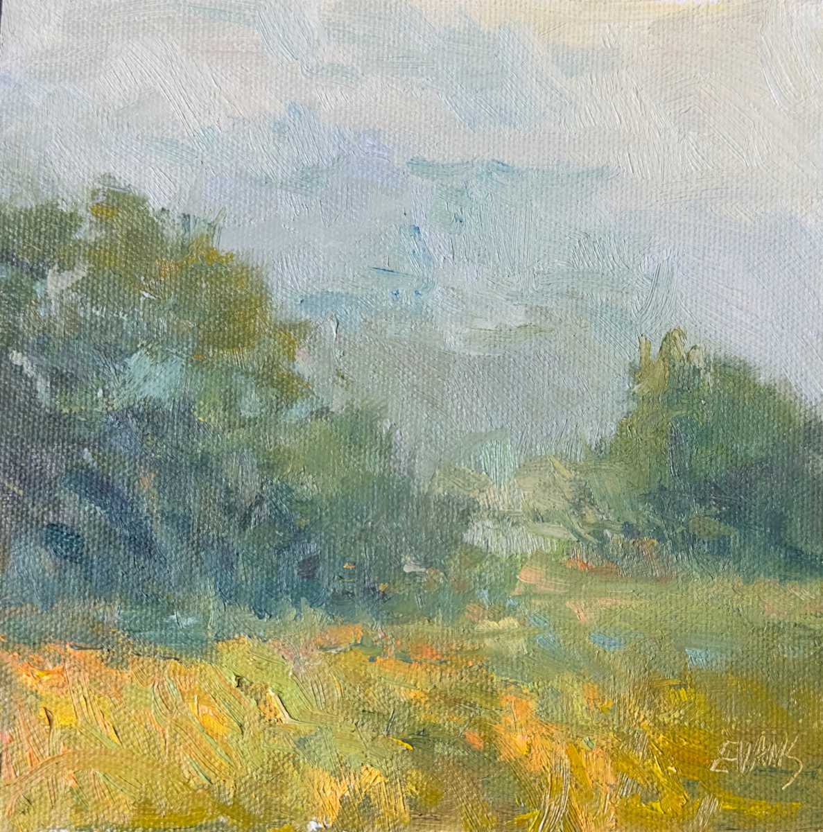 In A Fog by Amy Evans  Image: Misty foggy morning on the Blue Ridge Parkway. The air is soft and quiet.