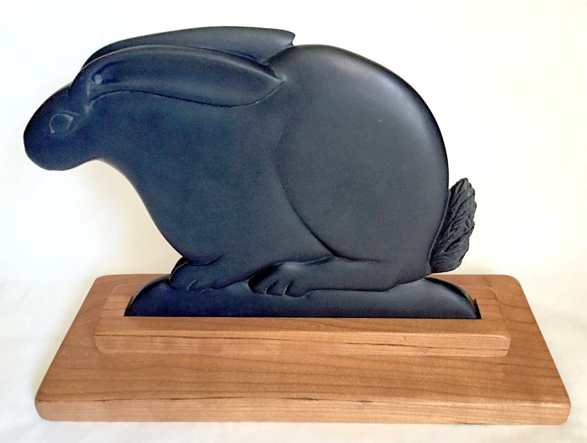 Hidden by Ann Cunningham, Image 1.