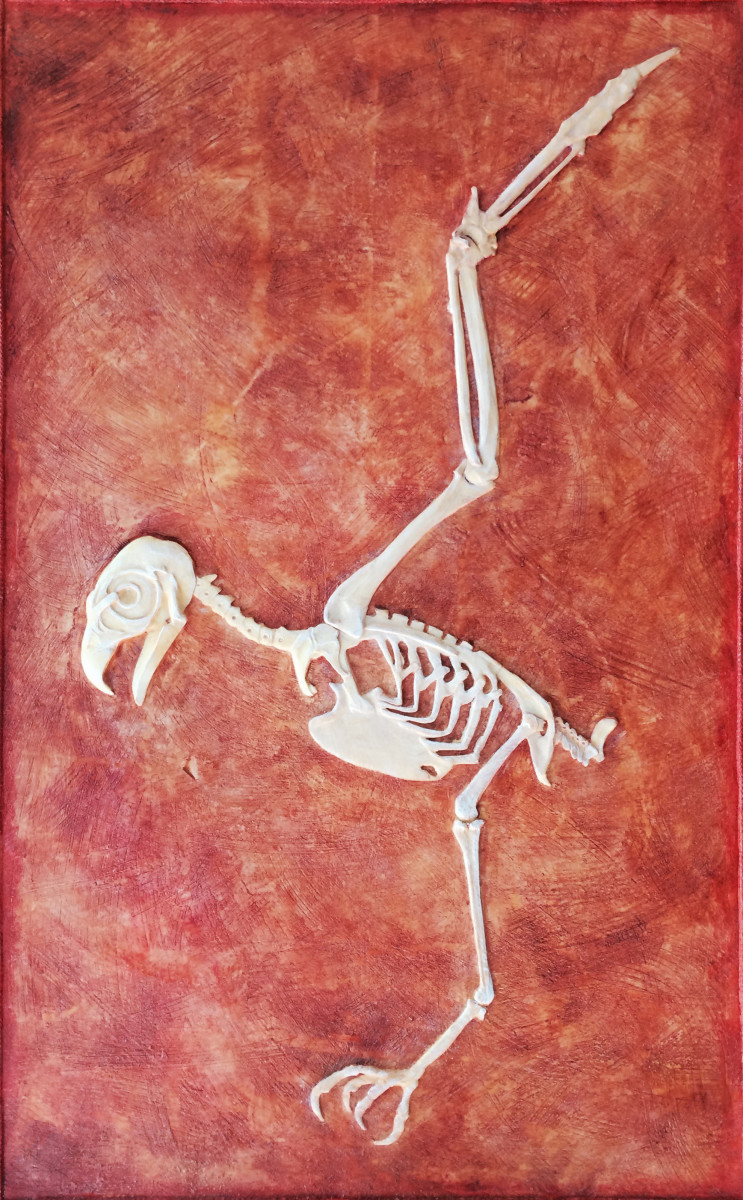 Mississippi Kite (in progress) by Ann Cunningham 