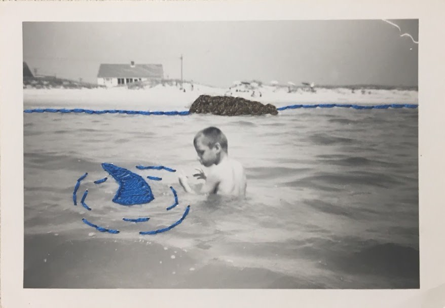 Shark by Juliana Naufel (naufss) 