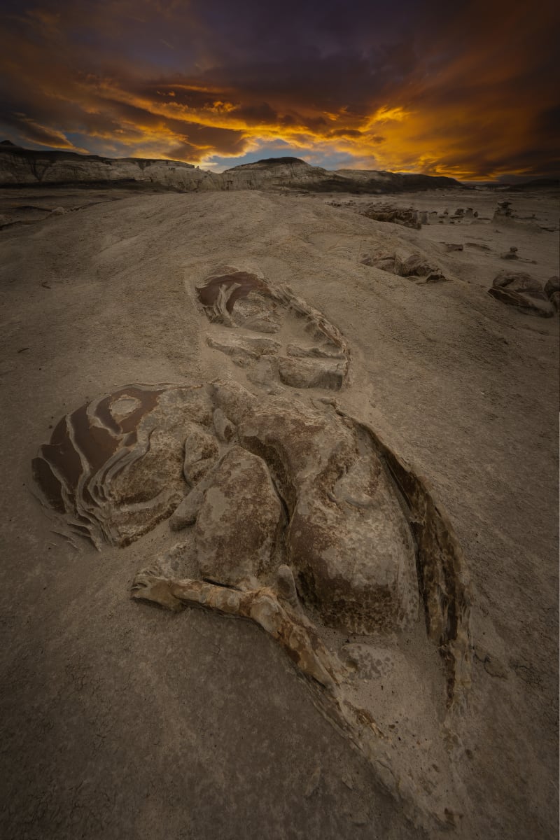 Sunset Nap, New Mexico Badlands by Lisa Libretto 