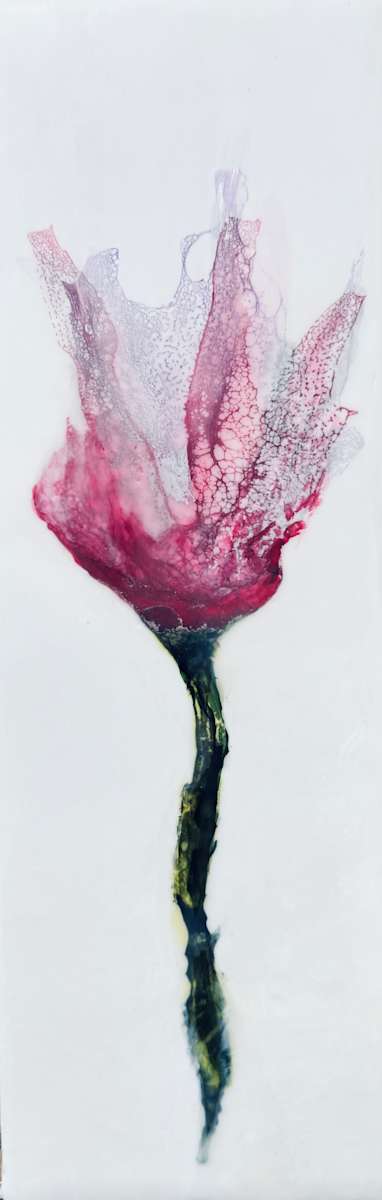 Blush Study by Lisa Libretto, Image 4.