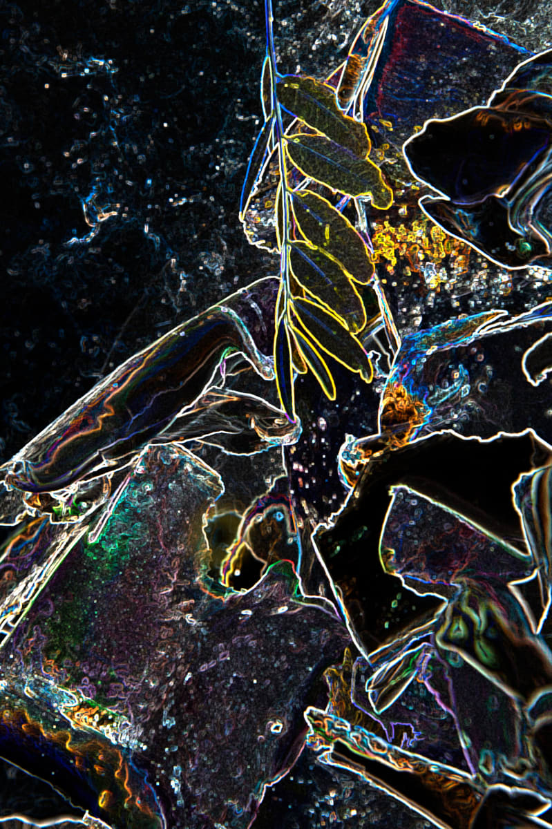 Wax Transformed by Barbara Stainman, Image 1.