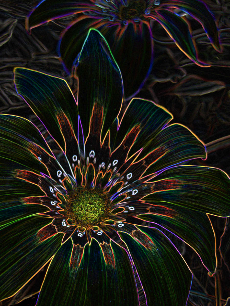 Flower Power by Barbara Stainman, Image 1.