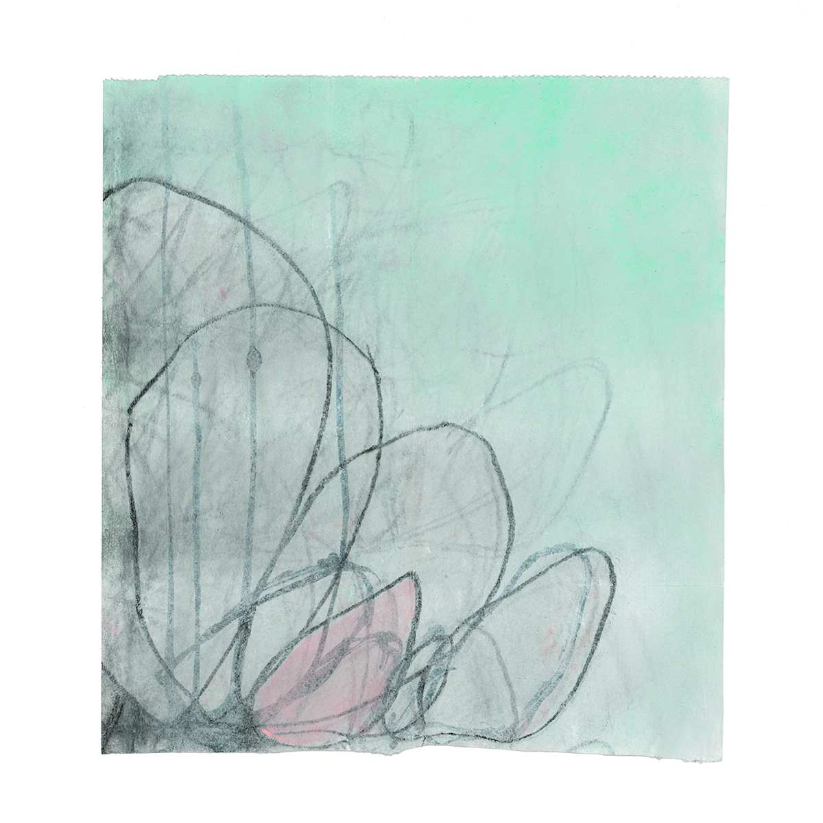 Sprouting No.4, Image 1.