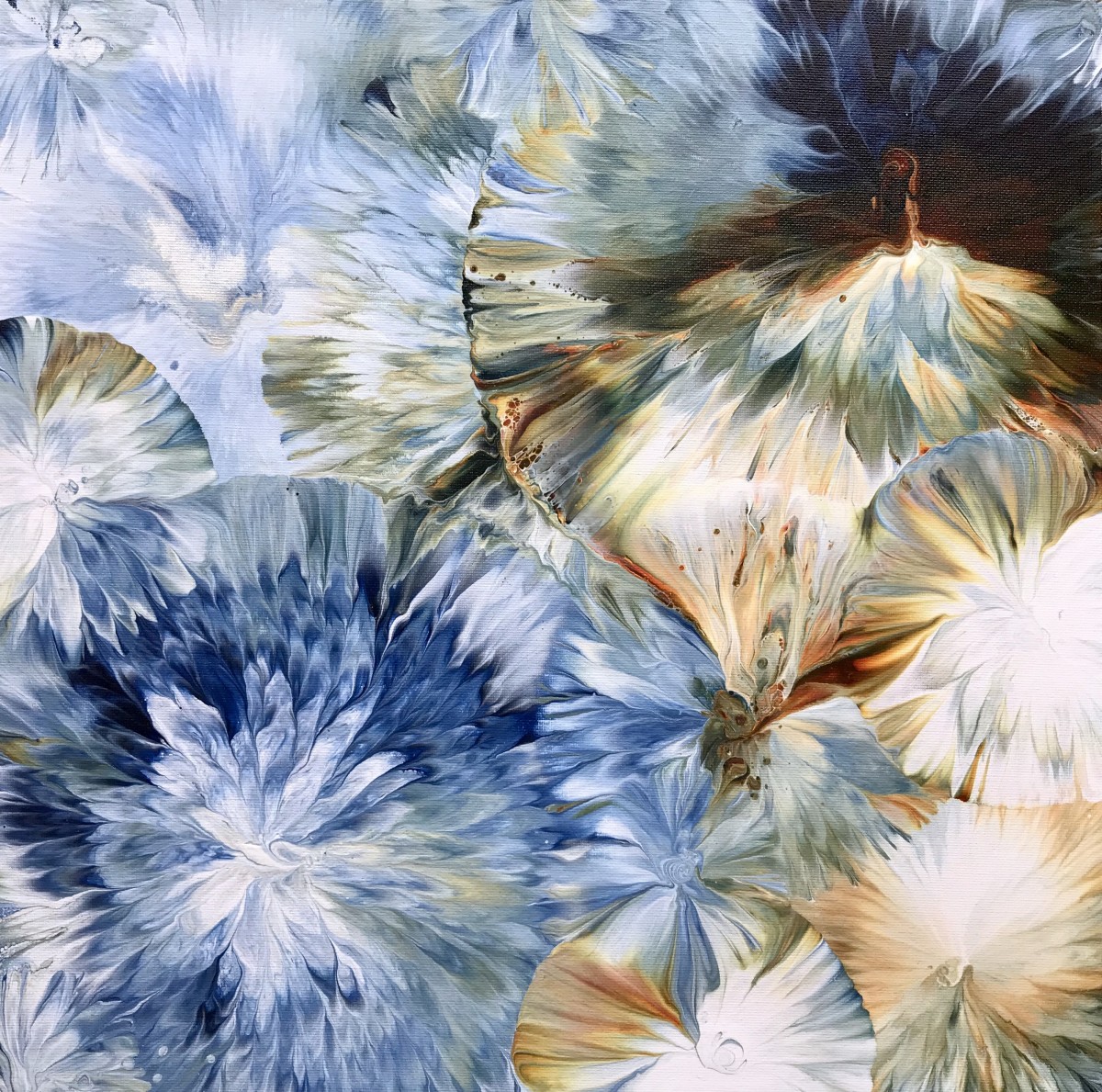 Look Closely No. 11 by Jen Glover Riggs 