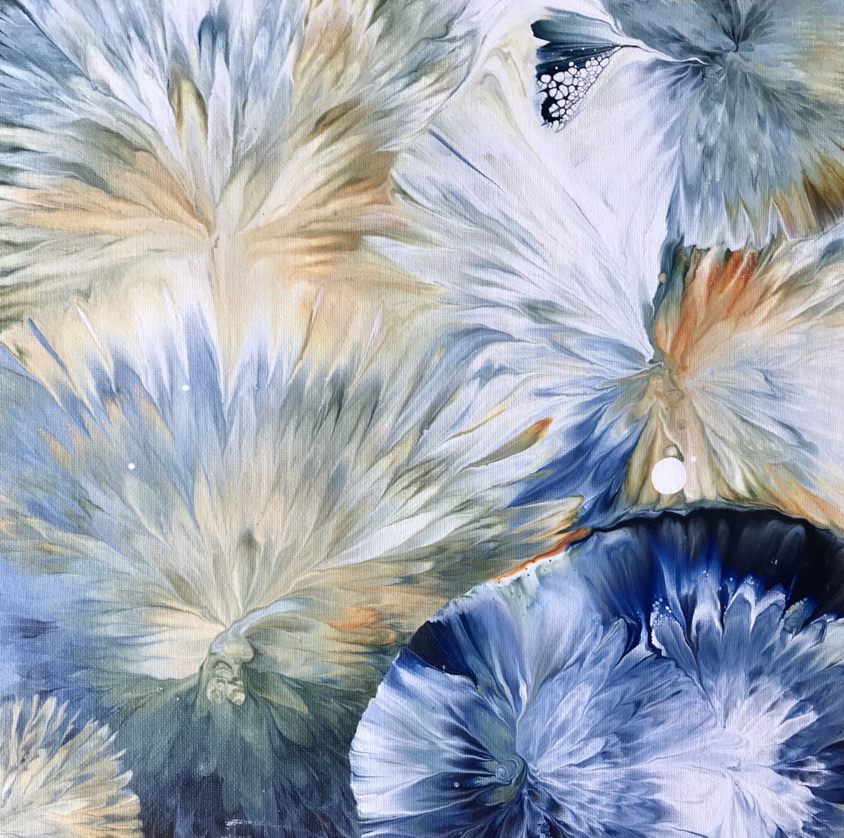 Look Closely No. 10 by Jen Glover Riggs 