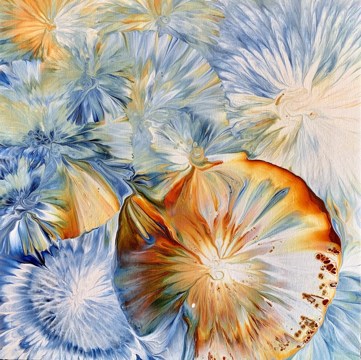 Look Closely No. 8 by Jen Glover Riggs 