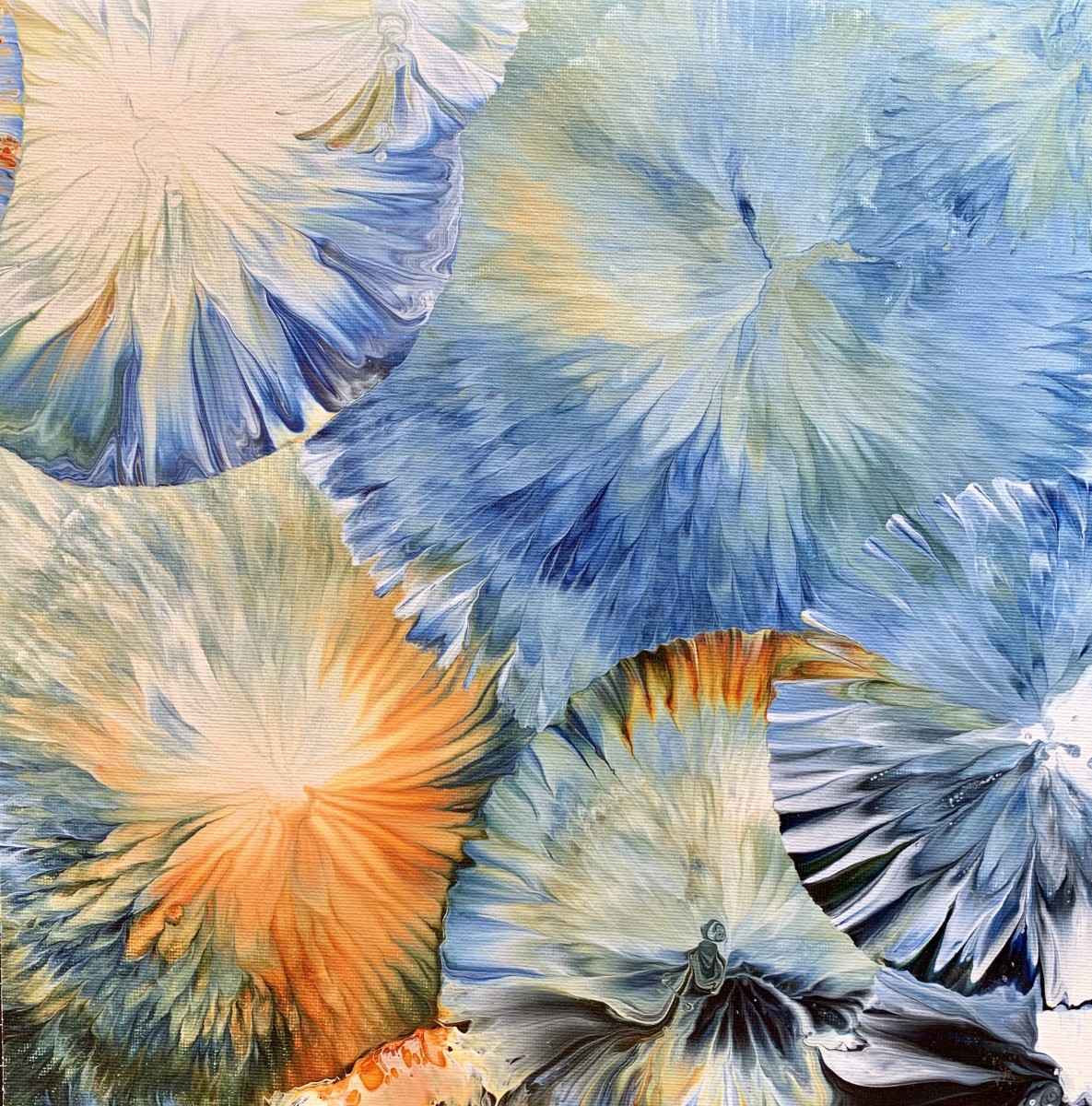 Look Closely No. 5 by Jen Glover Riggs 