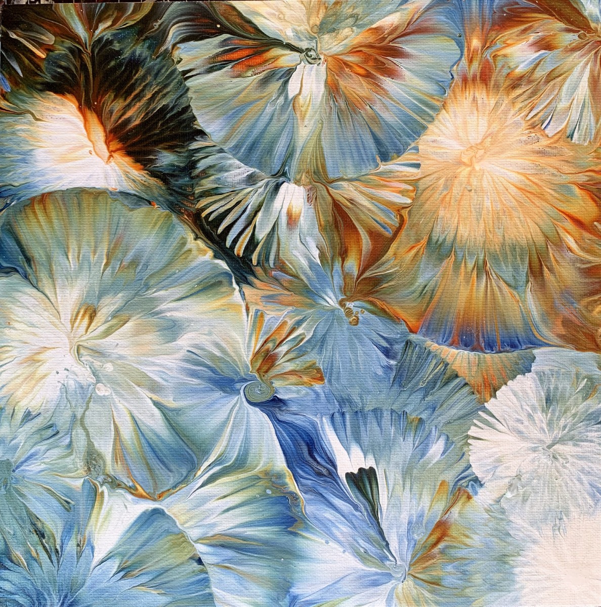 Look Closely No. 3 by Jen Glover Riggs 