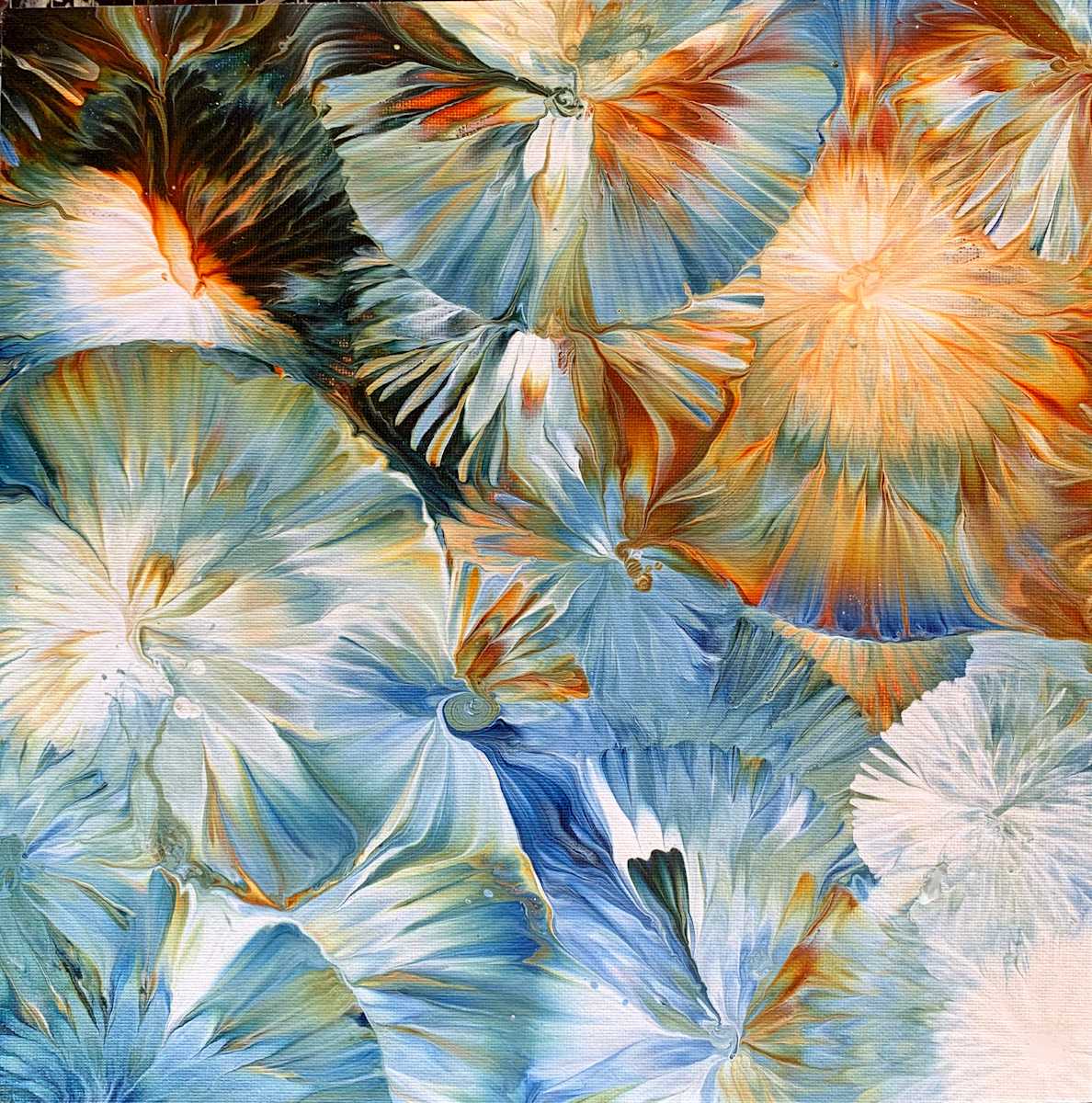 Look Closely No. 3 by Jen Glover Riggs, Image 1.