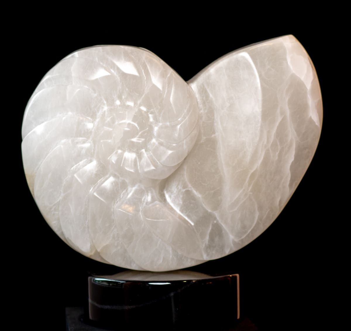 Nautilus III by Scott Gentry Sculpture  Image: Scott Gentry Sculpture. "Nautilus III" front view. Translucent Italian alabaster on black marble base. Measures 18H x 18W x 9D inches.