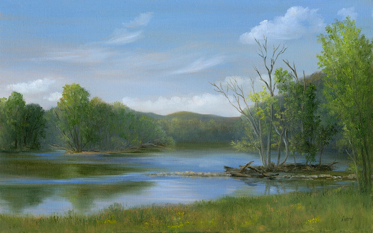 The French Broad River, Seven Islands Bird Park Knoxville TN 