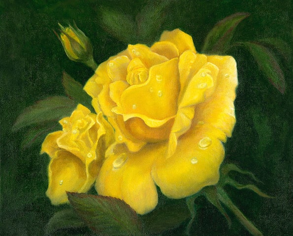 Raindrops on Roses by Tarryl Gabel 