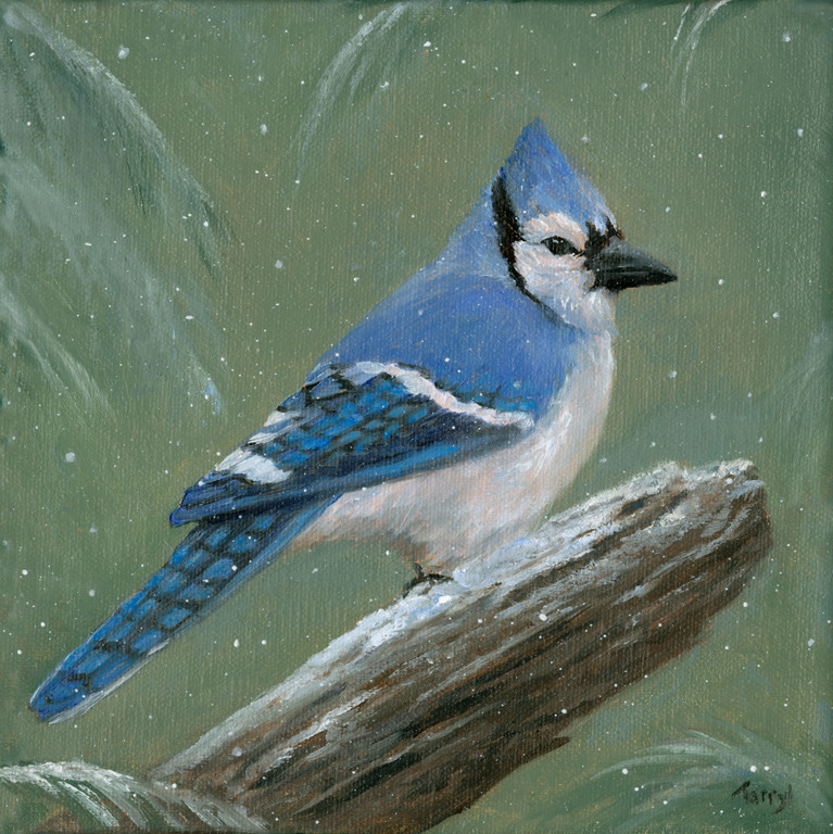 Blue Jay -fresh snow by Tarryl Gabel 