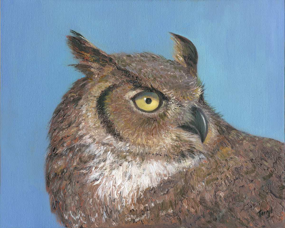 Horned Owl closeup by Tarryl Gabel, Image 1.