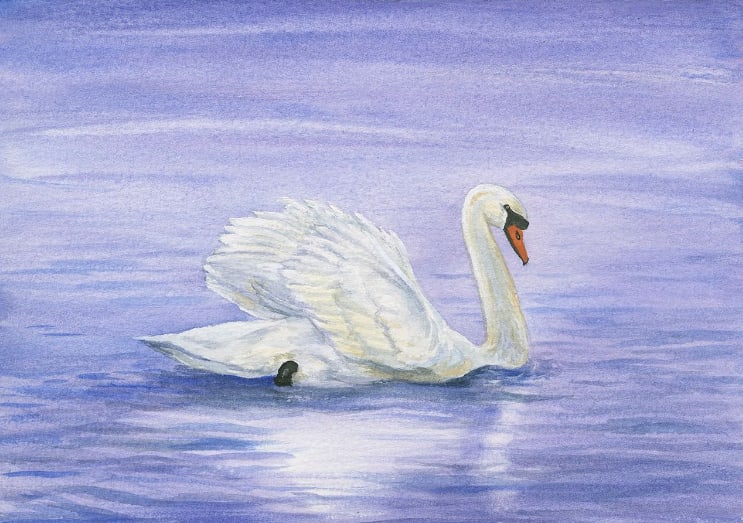 Swan- by Tarryl Gabel 