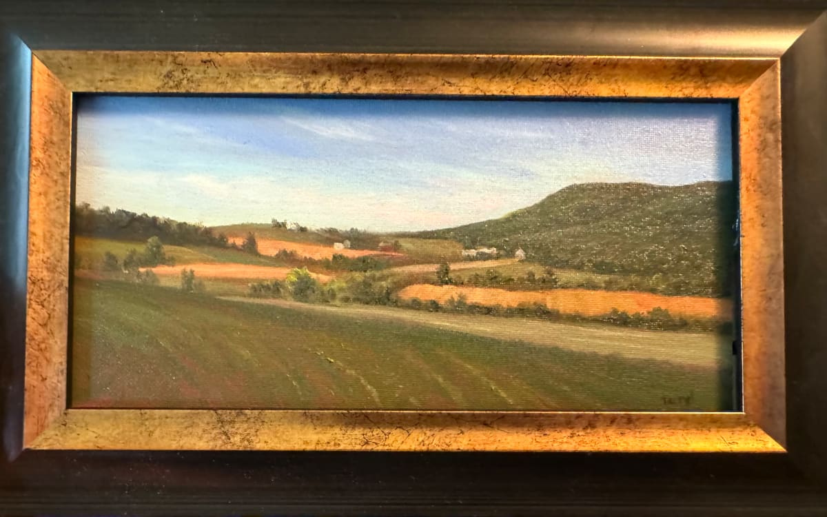 Patchwork Fields by Tarryl Gabel 