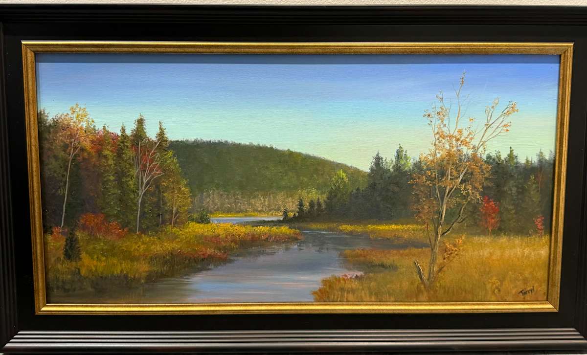 Raquette River Marsh by Tarryl Gabel 