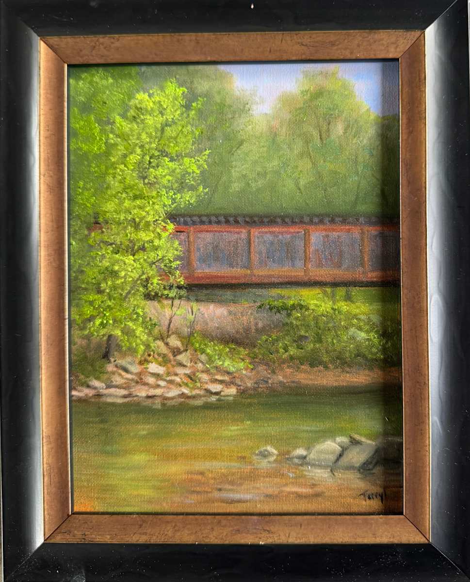 RR Bridge Wyalusing Park by Tarryl Gabel 